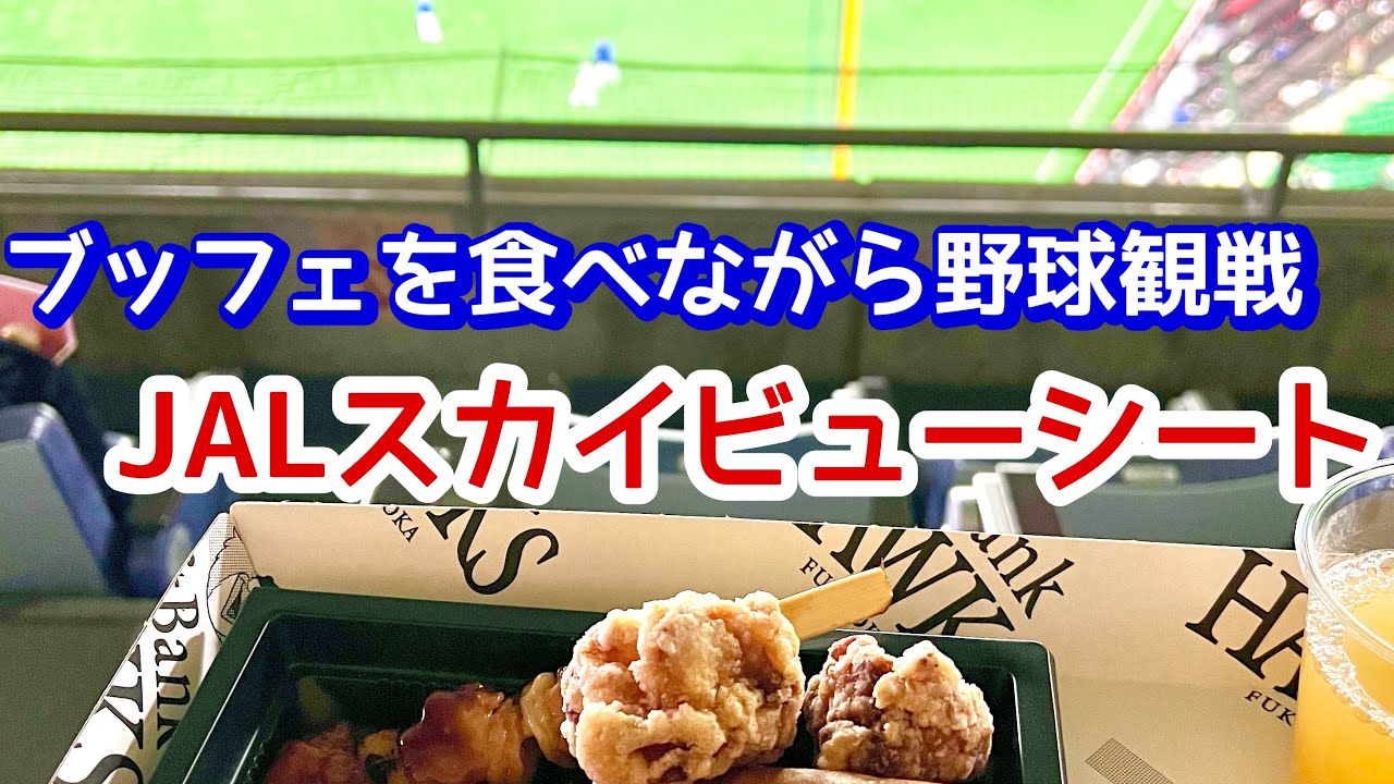 【PayPayドーム】ブッフェ付き！JALスカイビューシート