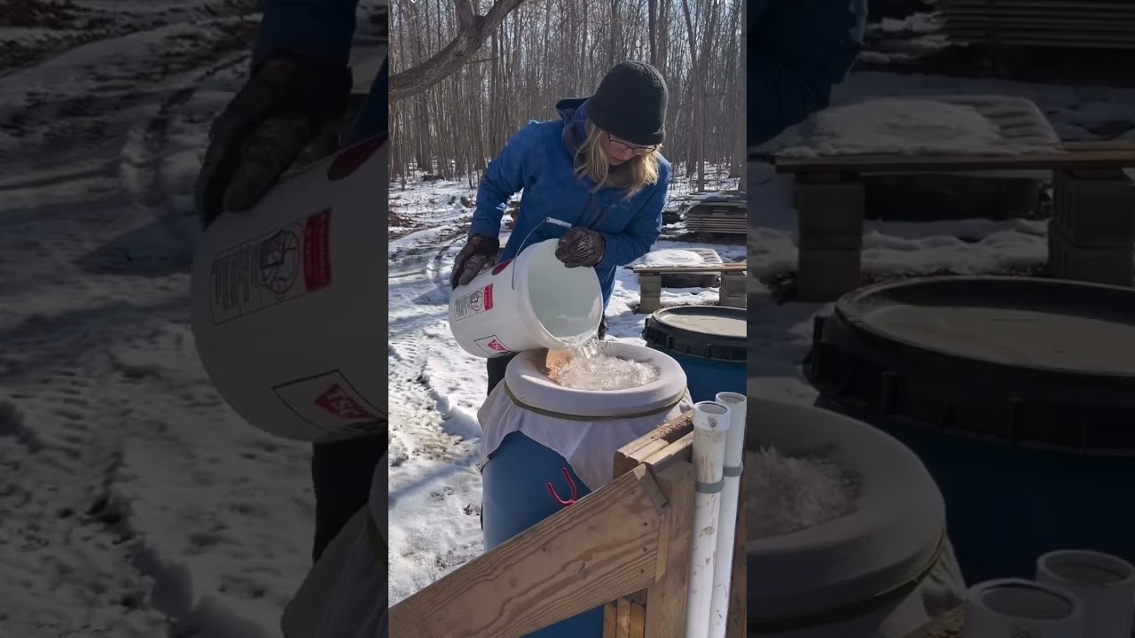 Maple Syrup Sap Collection