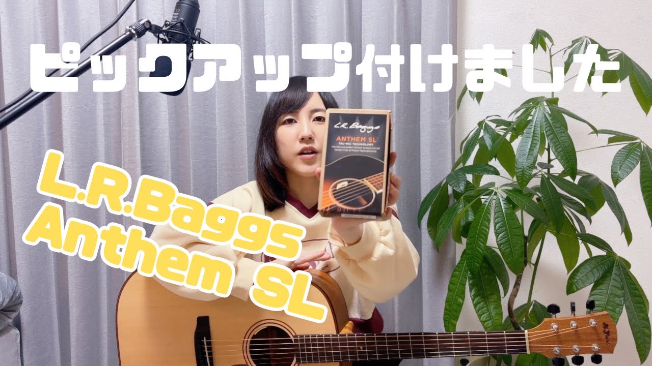ピックアップ付けました！ 〈L.R.Baggs Anthem SL〉