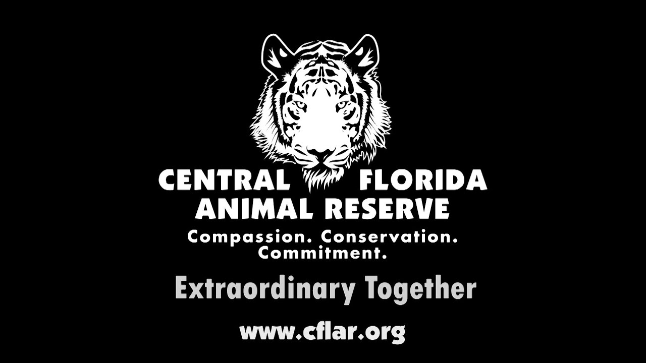 Central Florida Animal Reserve:  An Extraordinary Task