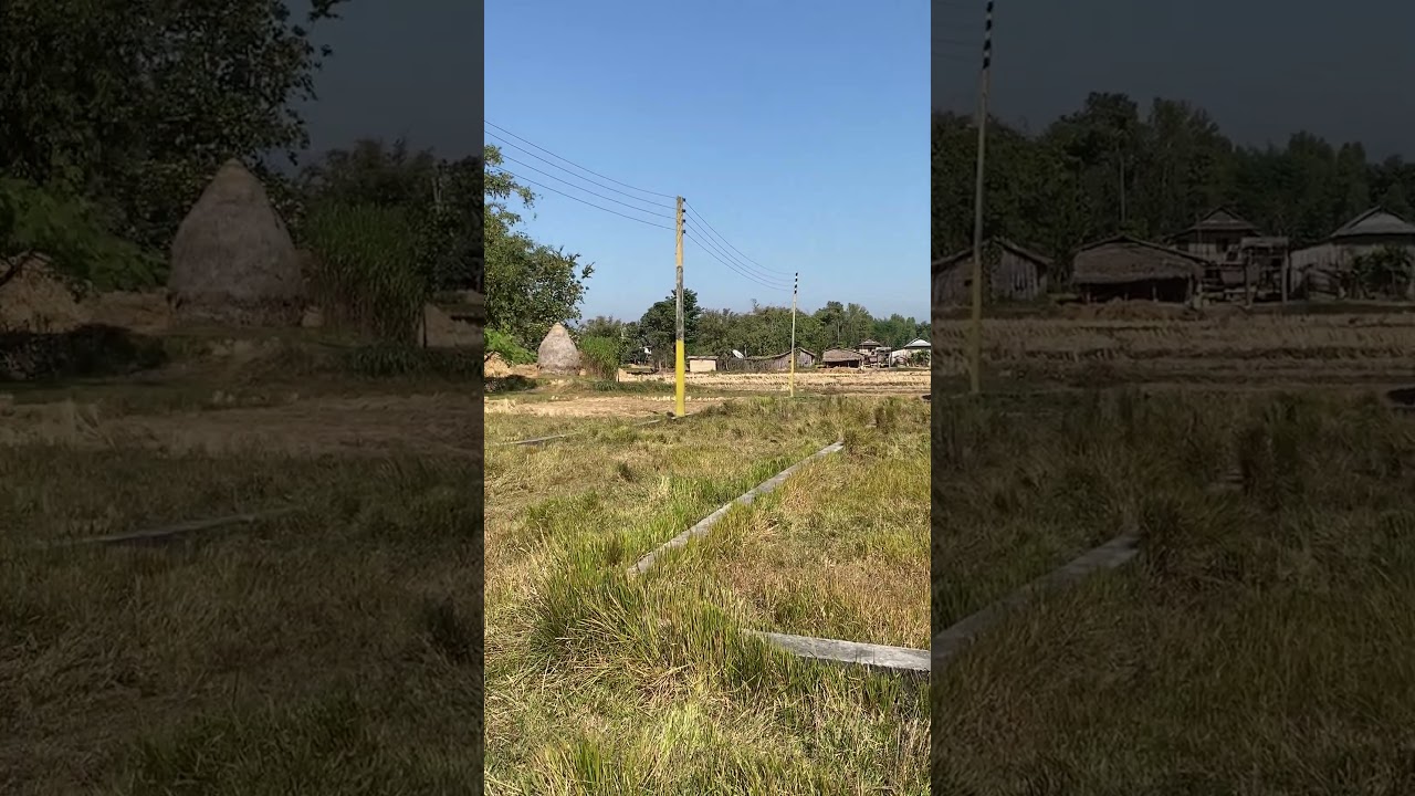 65 lakh Dhur | 1 bigga land on sale in belbari Morang | Direct Owner 9825370093