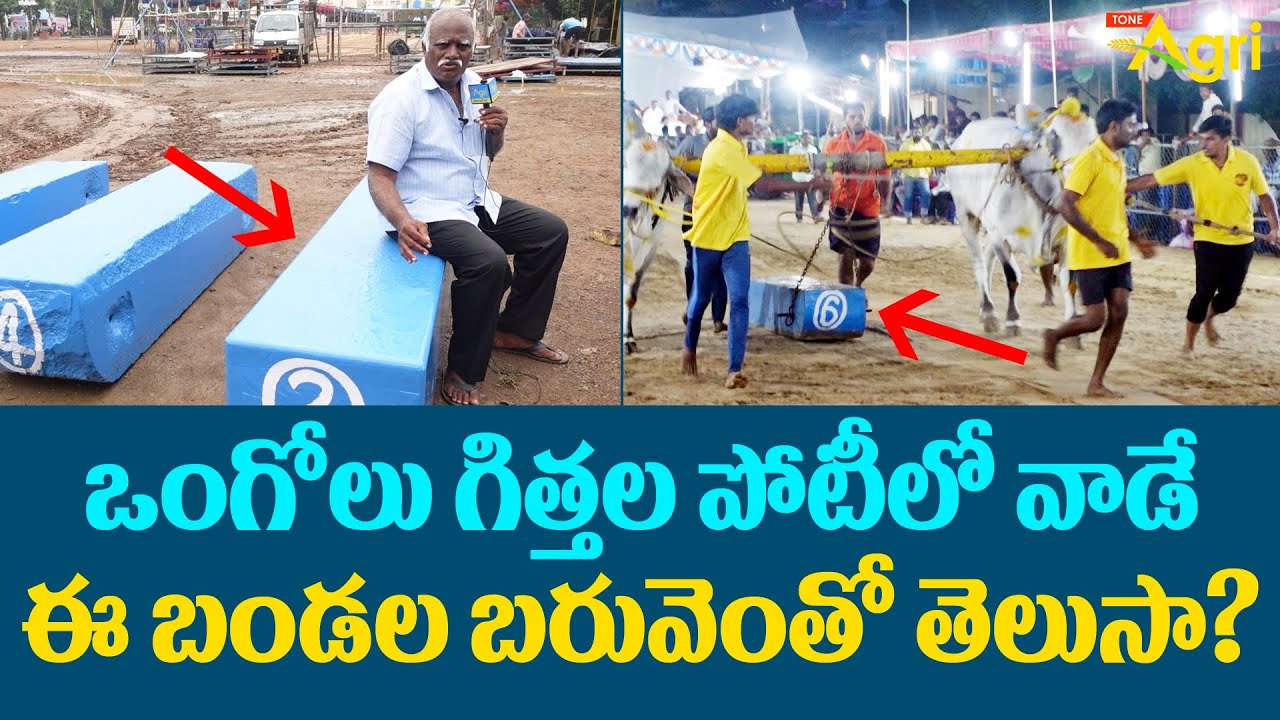 Ongole Bulls | Boulder Weight | ఒంగోలు గిత్తల పోటీలో వాడే ఈ బండల బరువెంతో తెలుసా..? Tone Agri