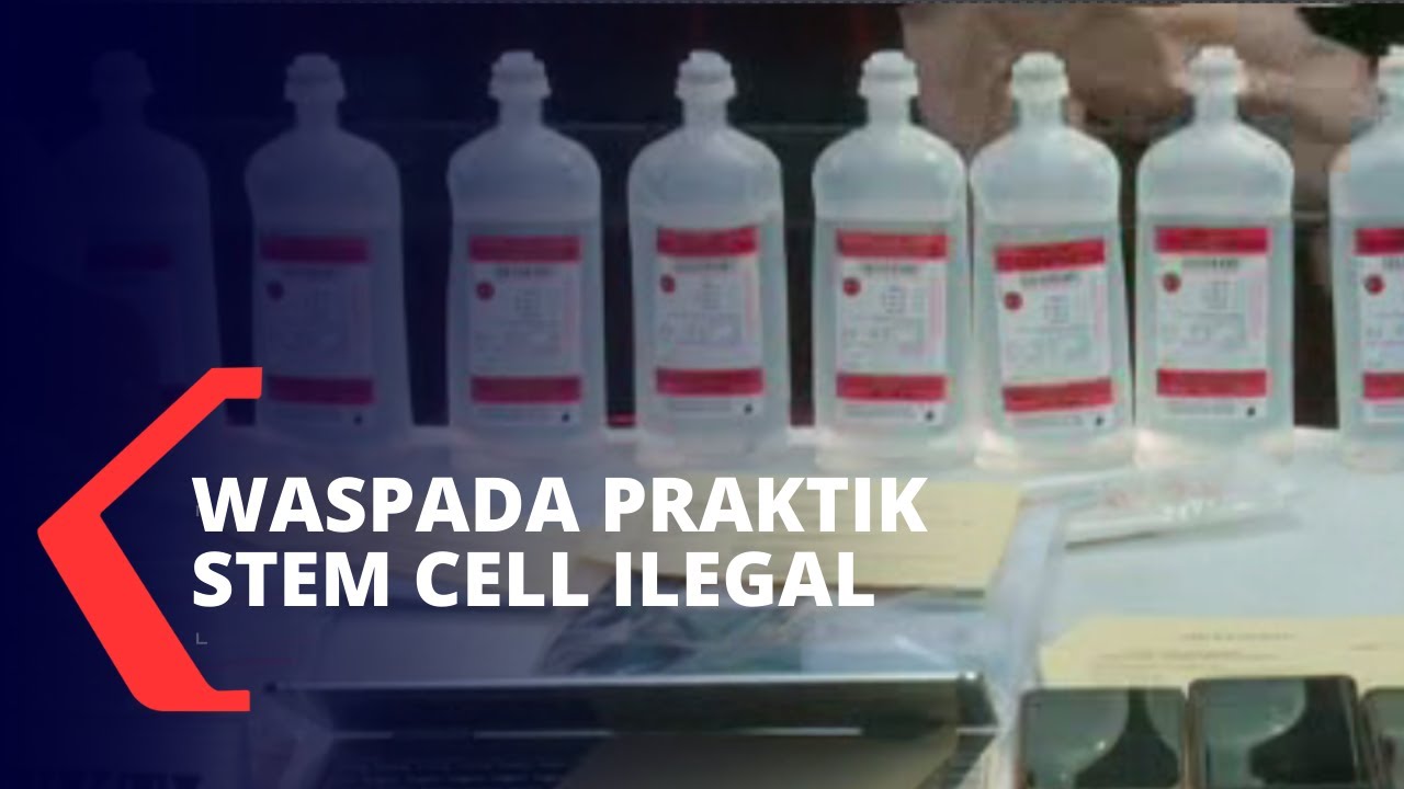 Waspada! Praktik Klinik dan Dokter Terkait Penyuntikan Stem Cell Ilegal