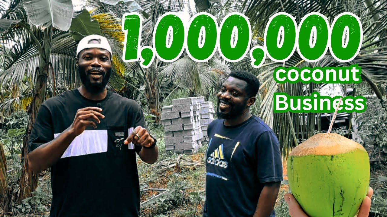 How He Started a 1,000,000 Coconut Business