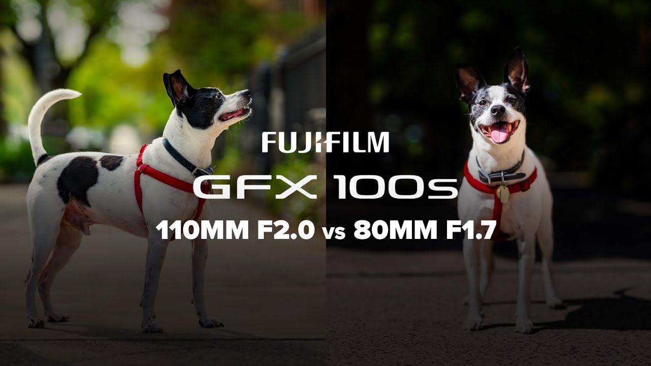 Cagematch: FujiFilm GFX 80mm 1.7 vs 110mm f2 | a Quick, Kinda Technical Review