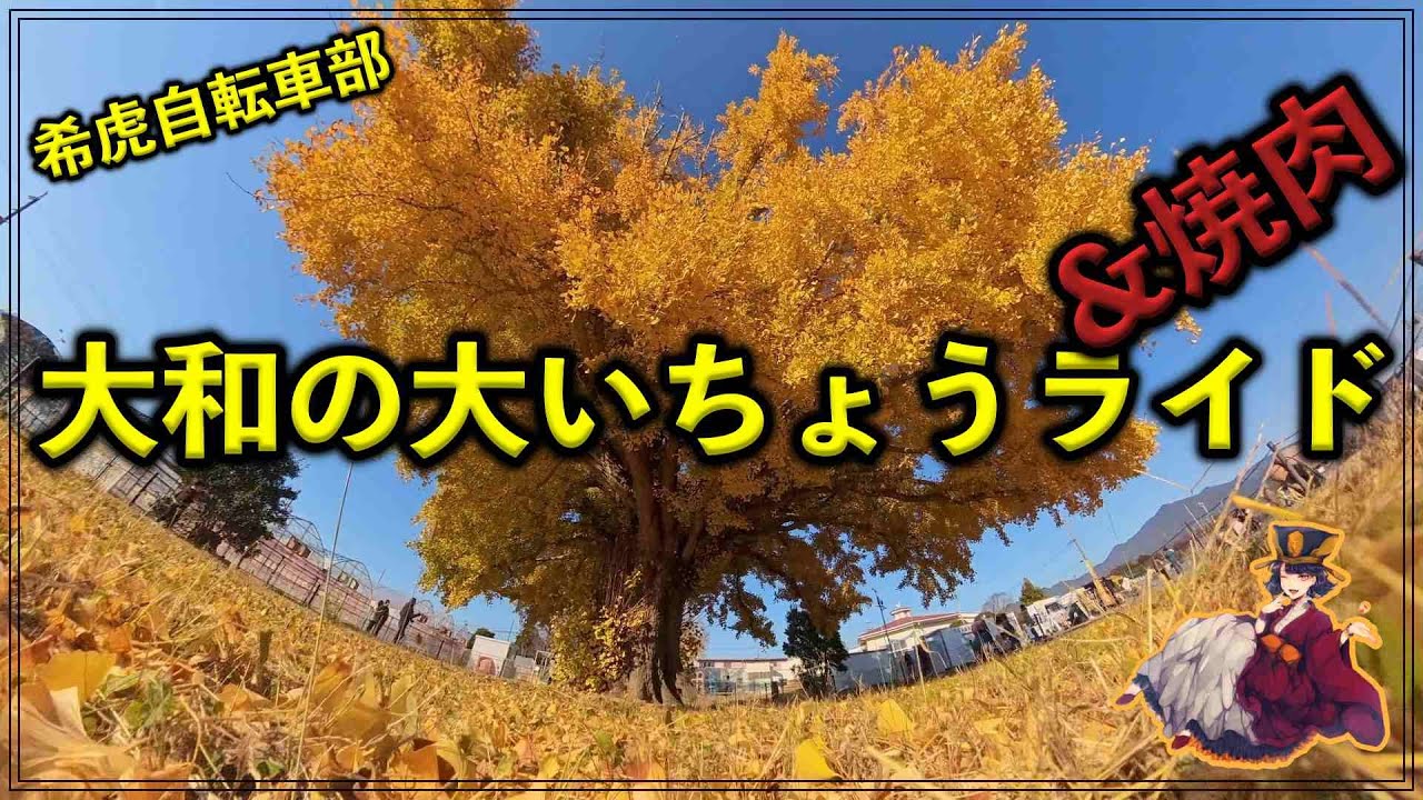 大和の大いちょうと焼肉ライド