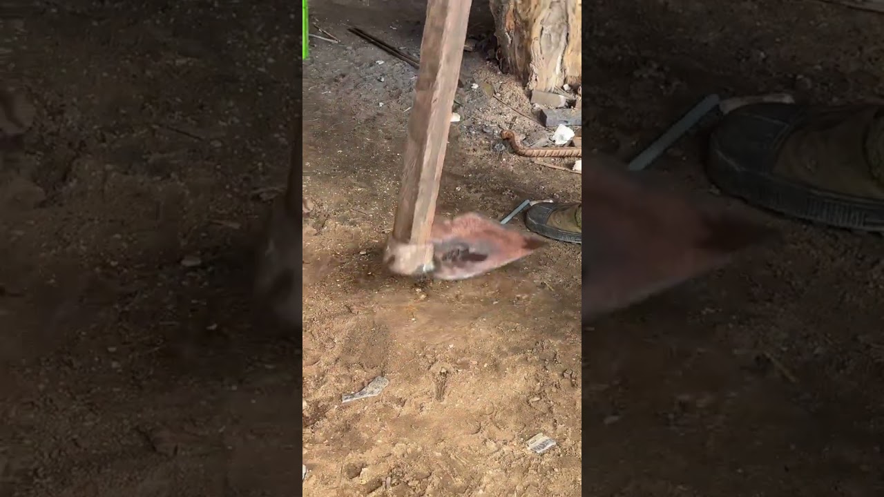 How To Restore And Upgrade Quality Of A Broken Hoe