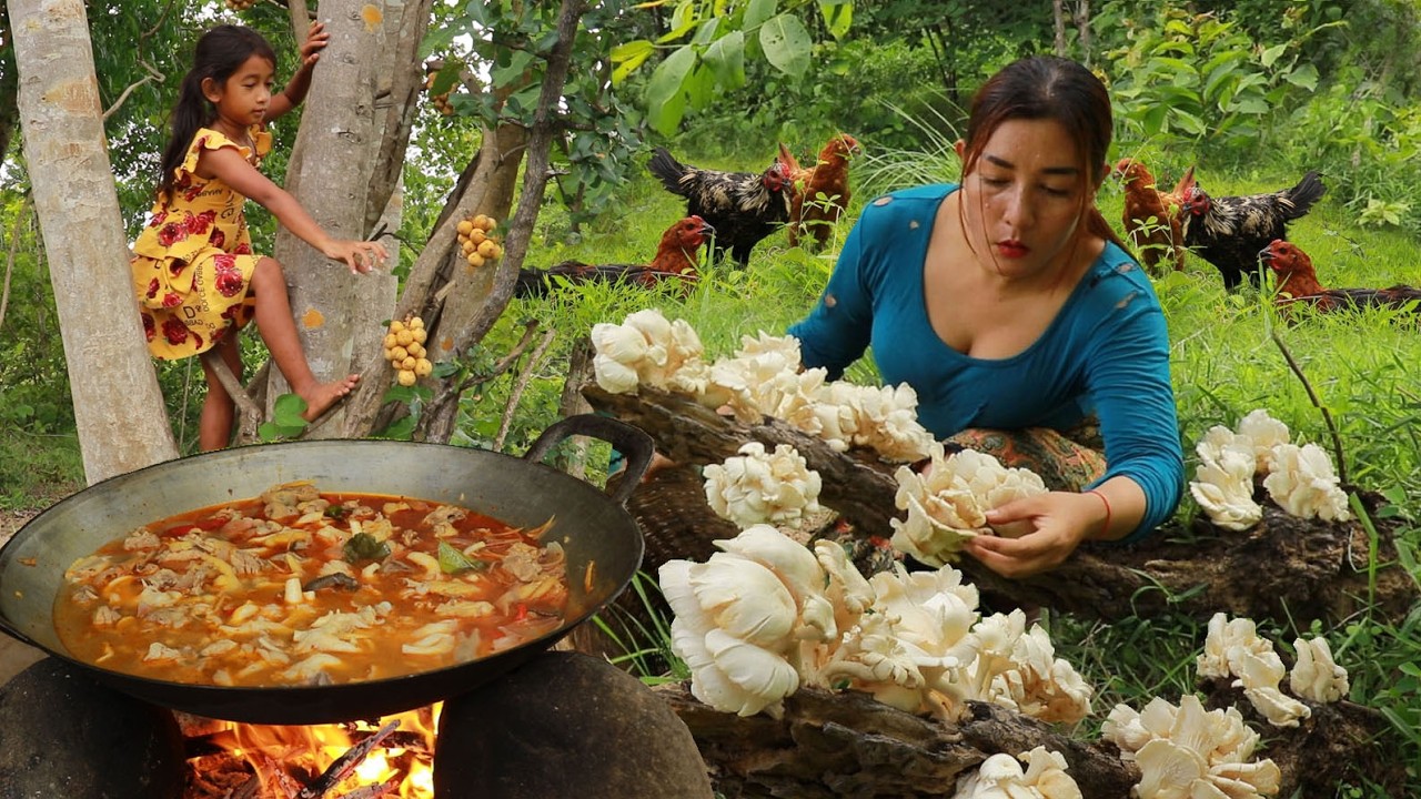 Pick up mushroom plant in forest/ Cooking chicken spicy with mushroom & Grill pork rib for lunch