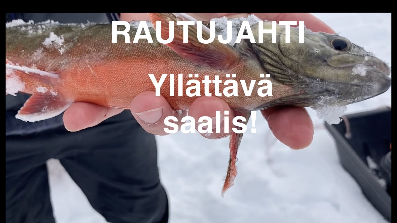 RAUDUN PILKKIMINEN // KUINKA TUUNATA RAUTUL&Auml;TK&Auml;? MUKANA MY&Ouml;S RAUTURESEPTI!