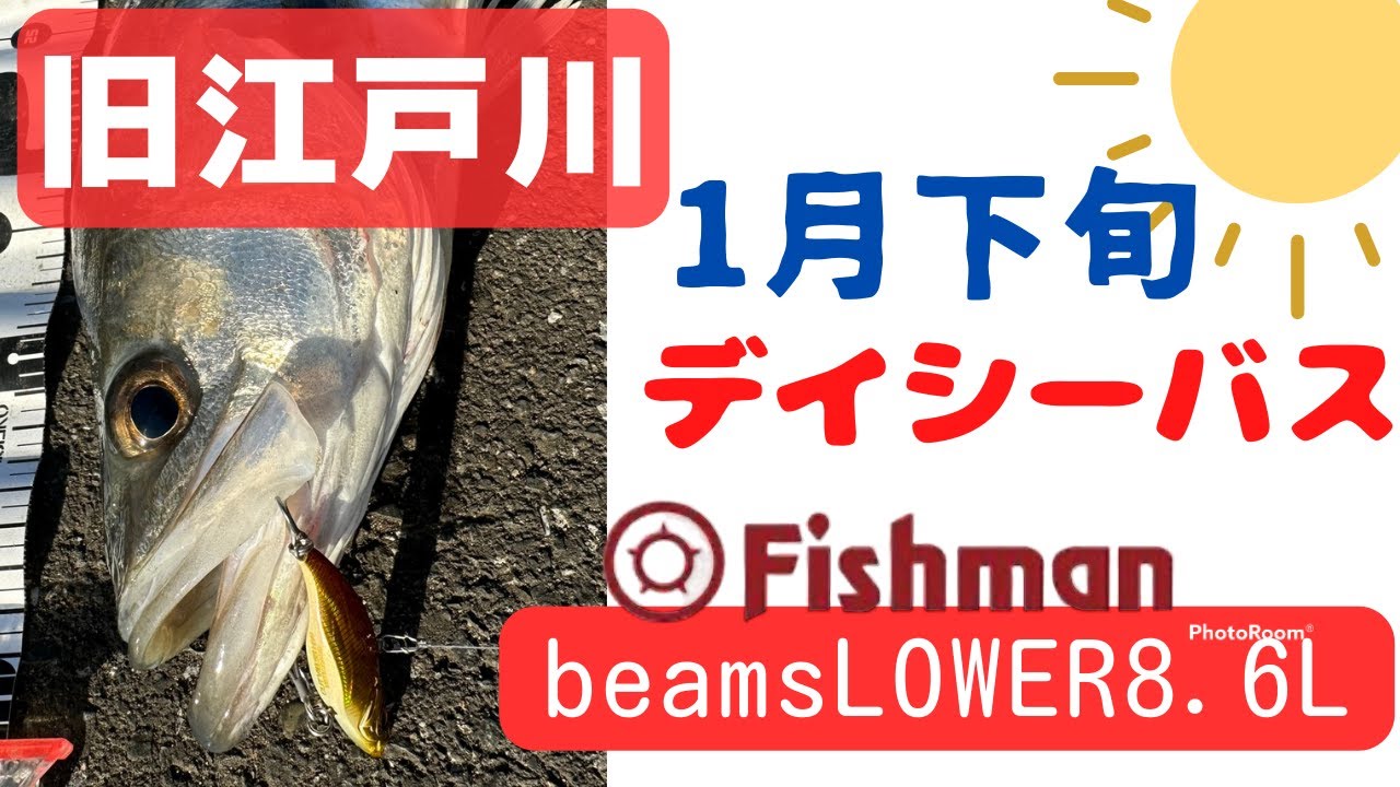 【旧江戸川　シーバス】夜はバチ抜けで激混みポイント!!日中きてみたら！？　Fishman　beamsLOWER8.6L　デイ釣行