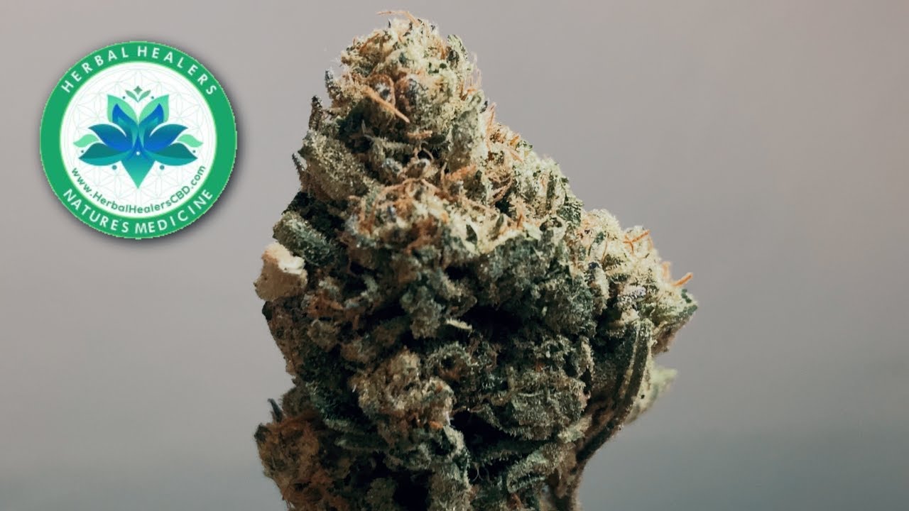 Gelato THCa Flower by Herbal Healers