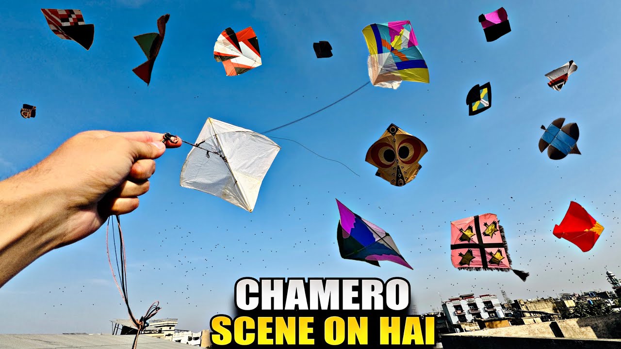 Looting And Cuting Kites On Roftop 😱 | Chamero Scene On !