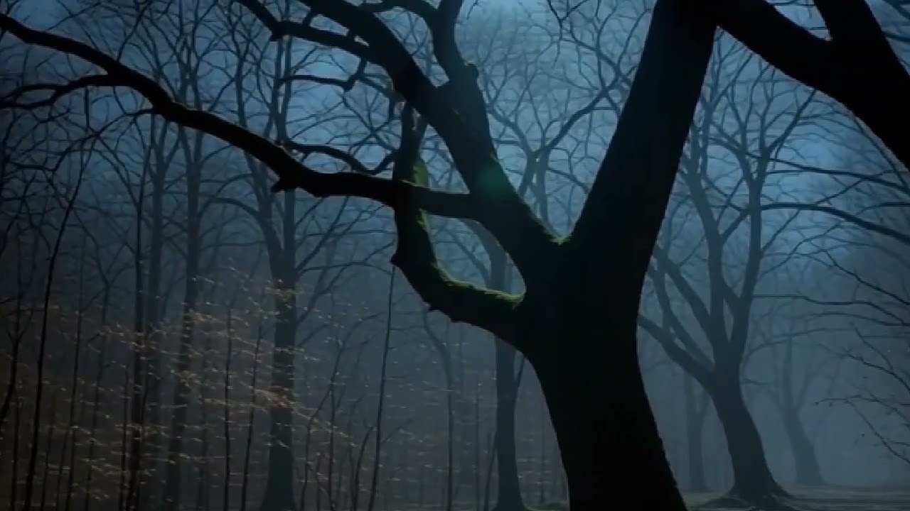 Creepy Tree Loop