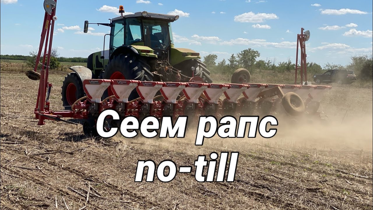 Сеем рапс на 70 см.по технологии no-till