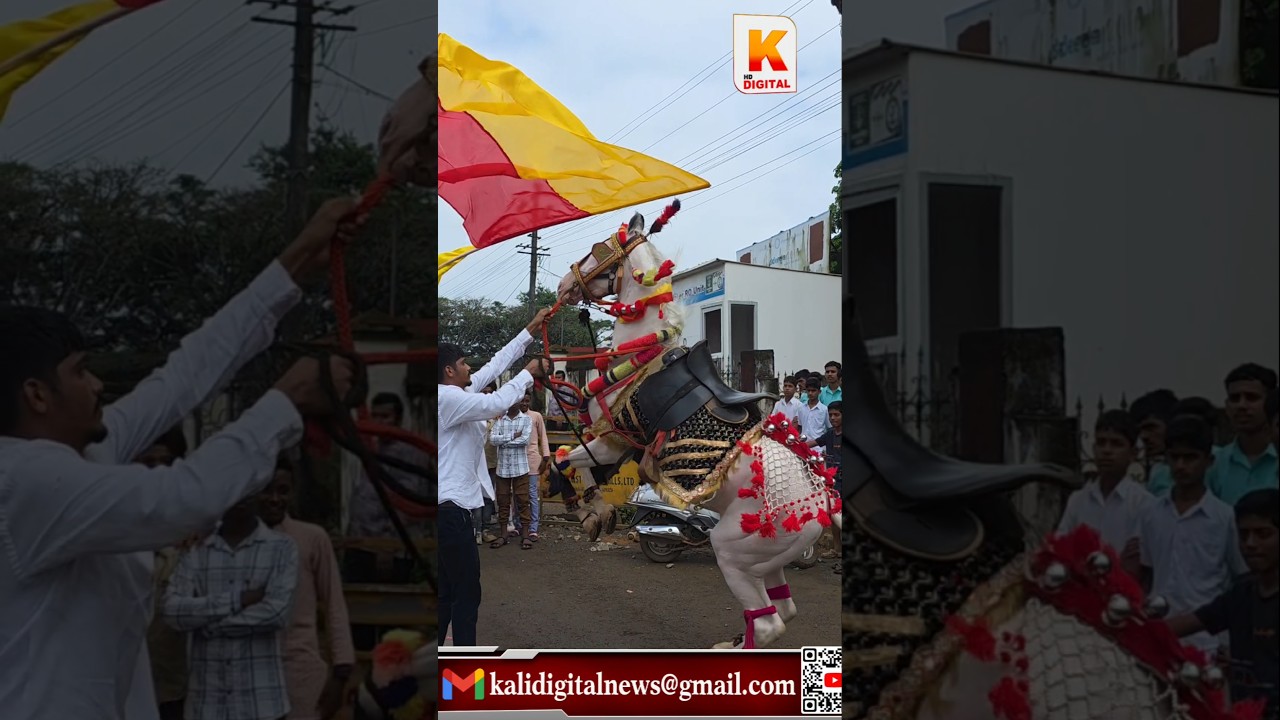 Dandeli Karnataka Rajotsava | Horse Dandce | Tipusultan Committy | Kannada | Kali Digital News