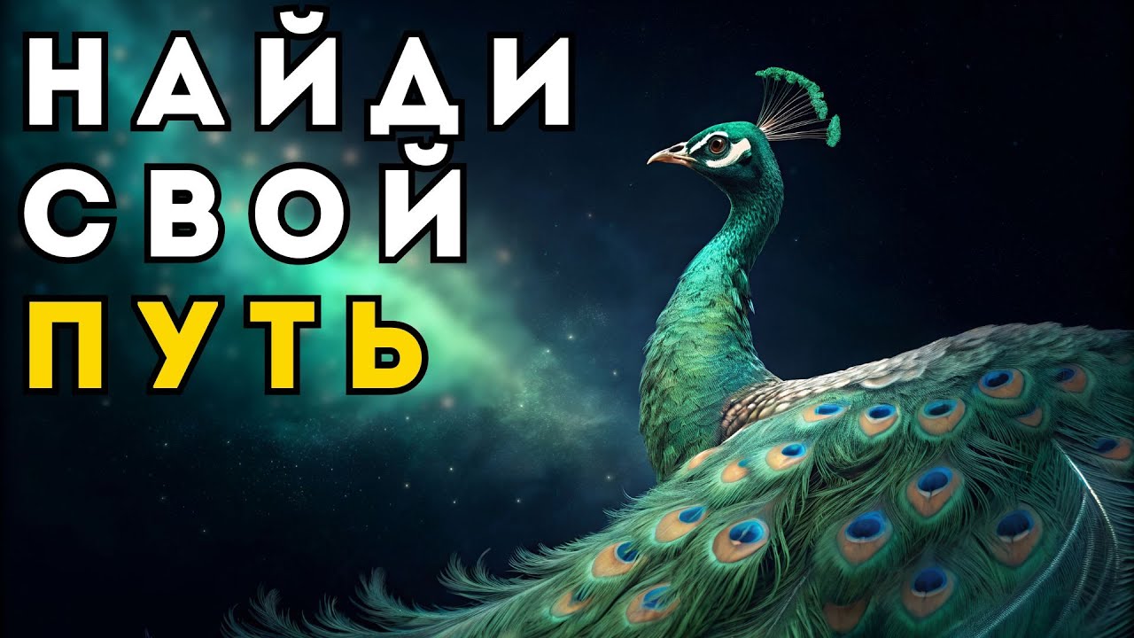 Ваша душа имеет СВОЮ песню. Перестаньте слушать чужую (Мудрость из «Двух Жизней»)