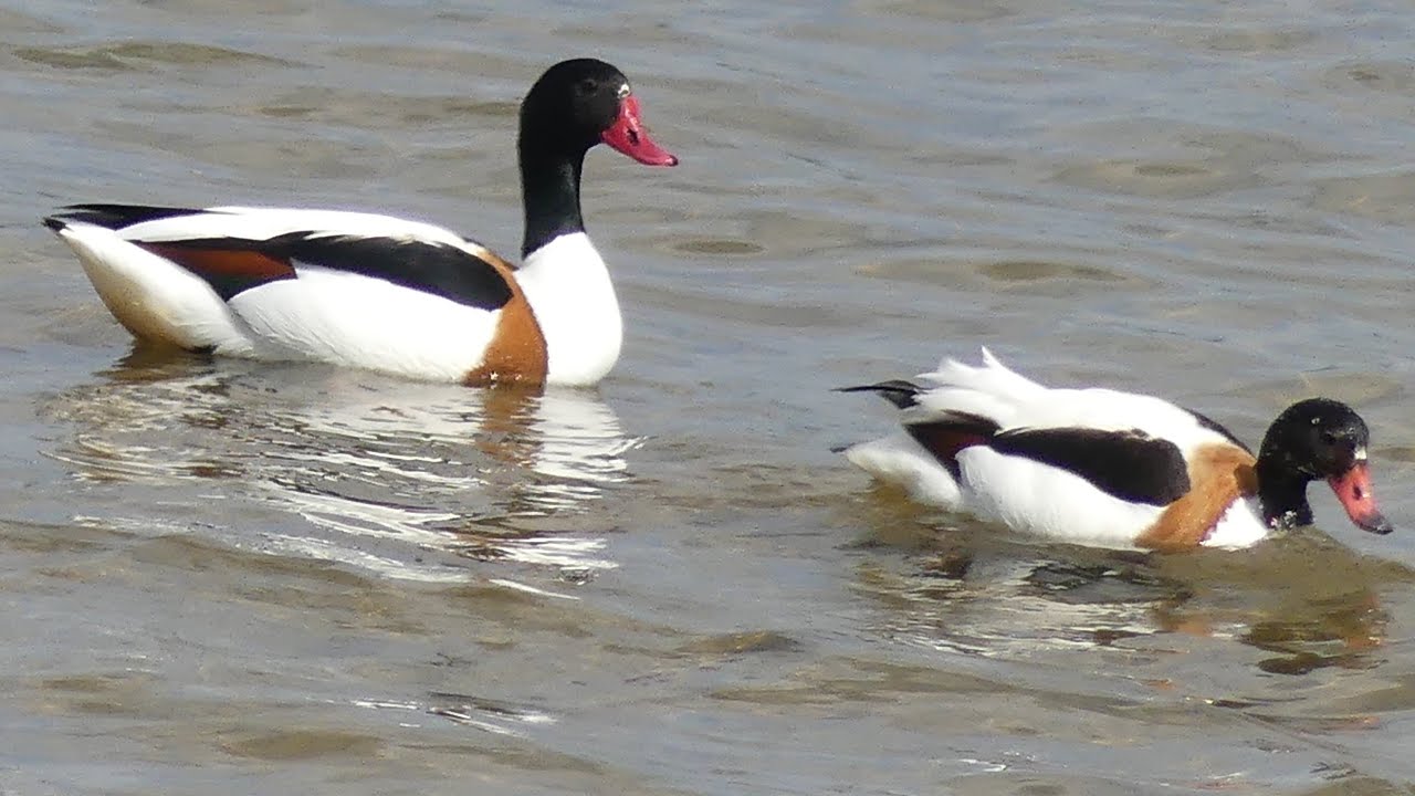Take A Closer Look At Nature & Wildlife All Around Us.