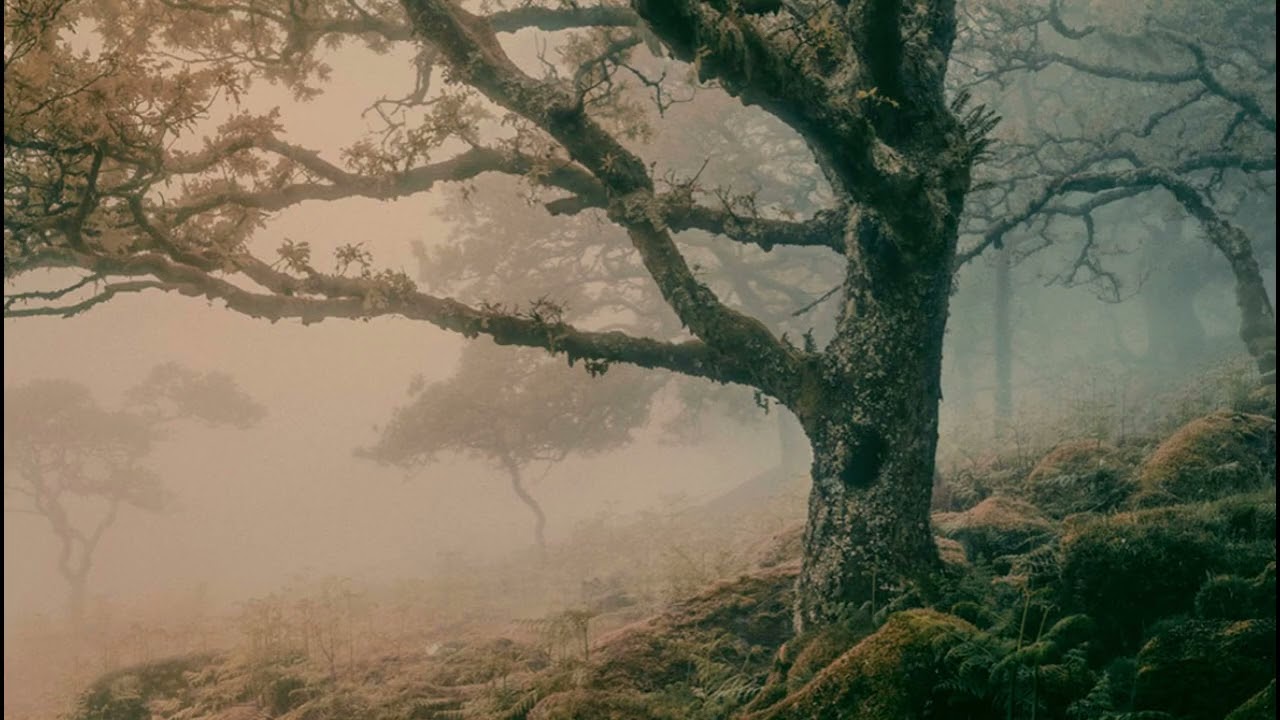 Melancholia [slowed] - FFXV OST