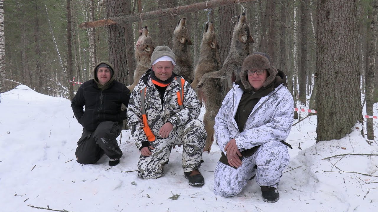 Охота на волка Winterjagd auf Wolf 2025 (фильм второй)