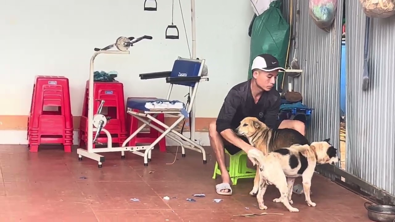 Thả diều 2