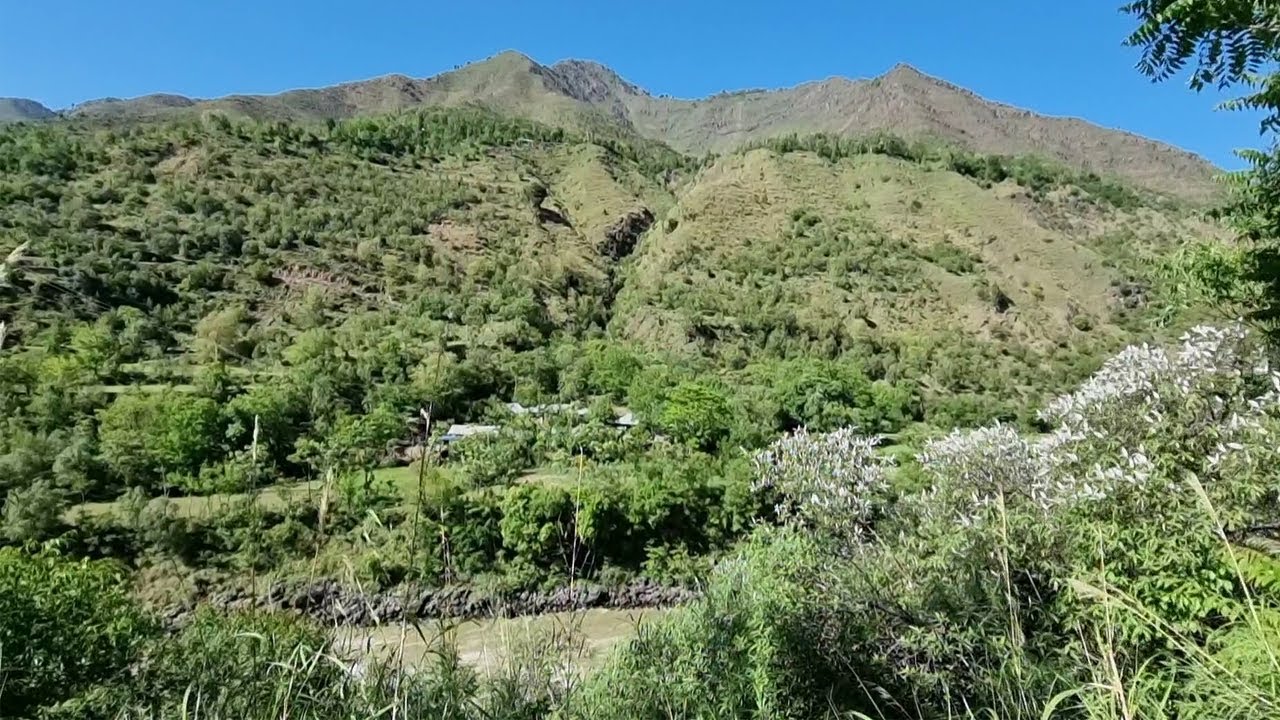 Militant Killed in An Ongoing Encounter in Rajouri