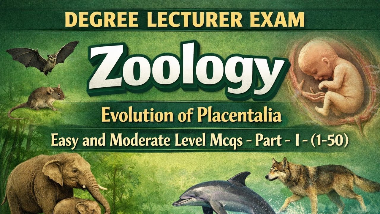 EVOLUTION OF PLACENTALIA