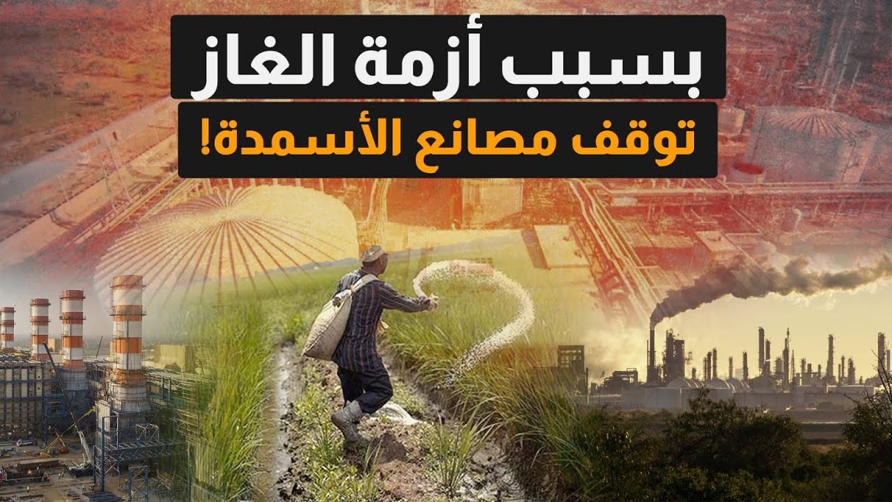 توقف مصانع الأسمدة بسبب أزمة الغاز! الأسباب..التداعيات على الاقتصاد والدولار والأسعار..والمطلوب!