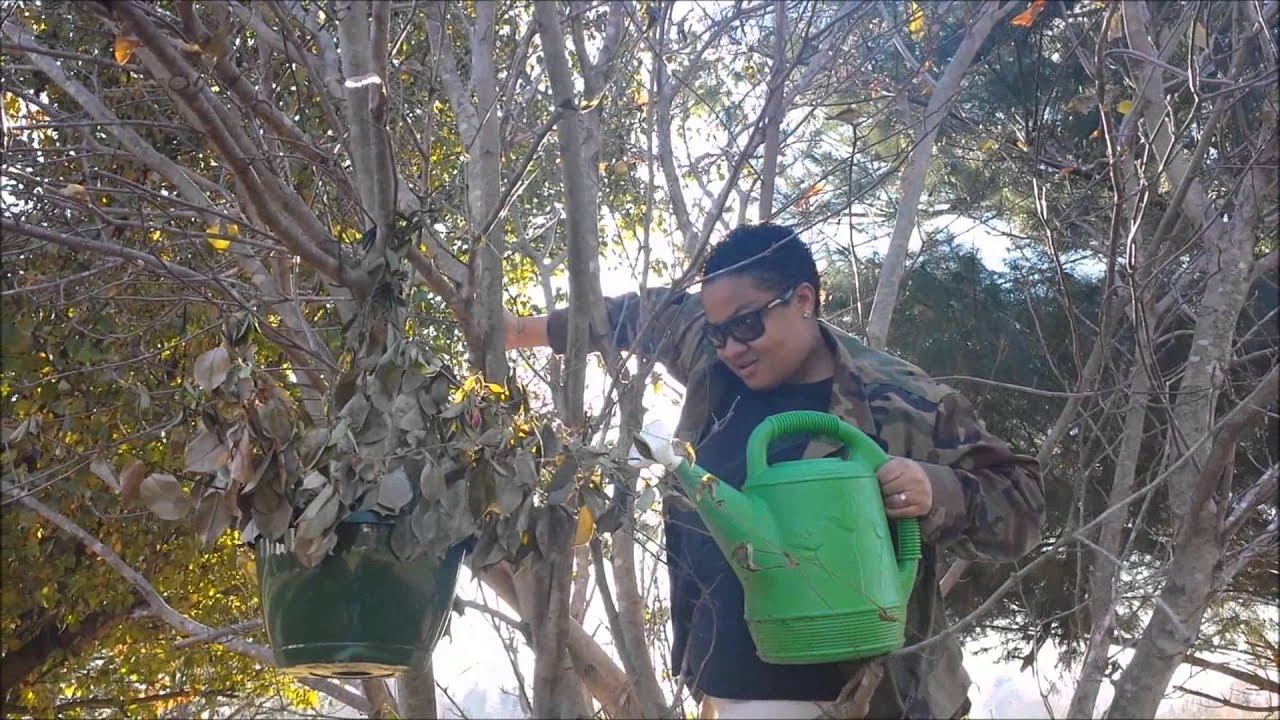 Ellen's Gardener Audition