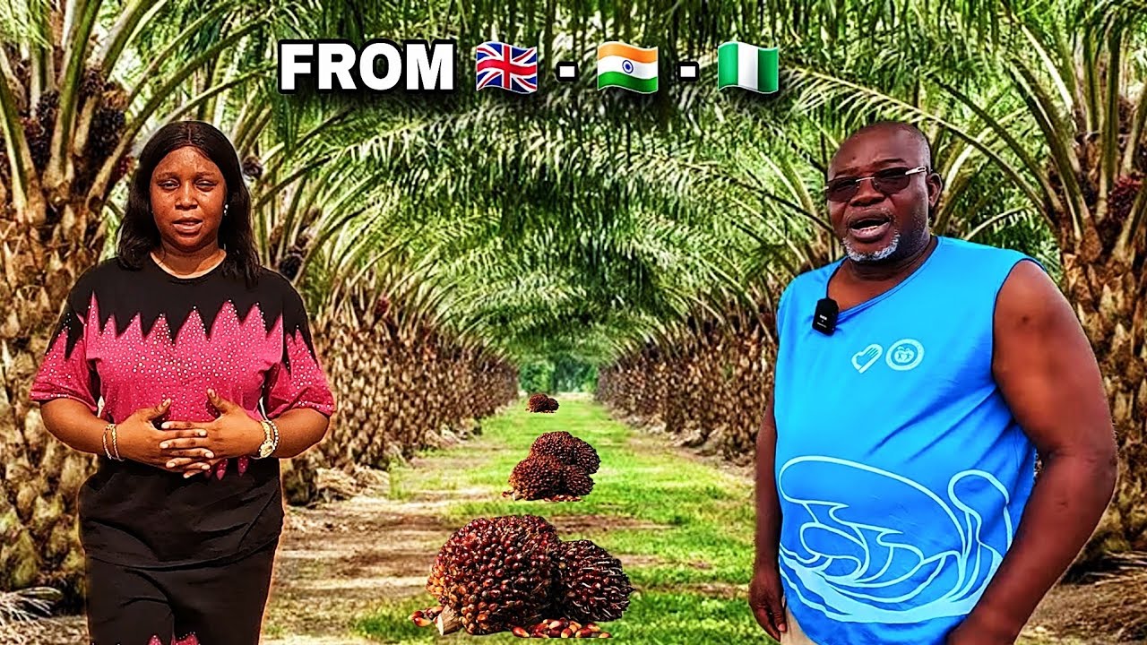 HE LEFT UK AND HIS FACTORY IN INDIA TO BUILD A PALM OIL EMPIRE IN NIGERIA 🇳🇬 | BOSS LEVEL BUSINESS