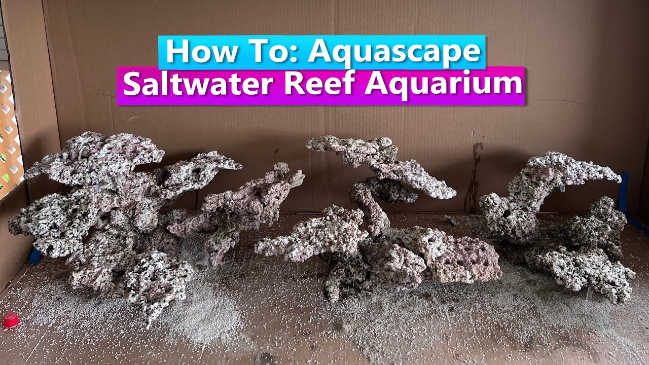 How To Aquascape a Saltwater Reef Aquarium