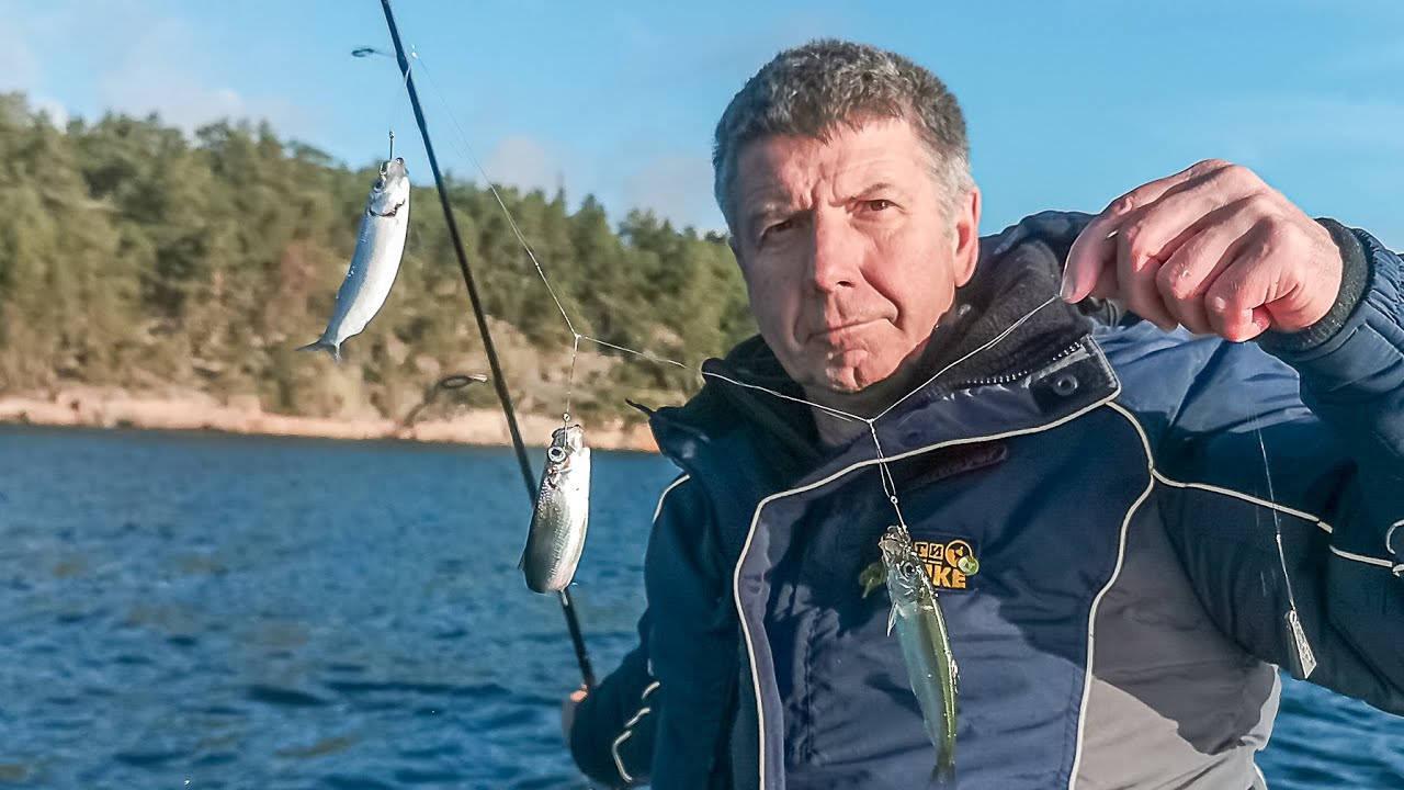 РЫБАЛКА И ПОДВОДНАЯ ОХОТА В ФИНЛЯНДИИ.  Аландские острава Wild Fishing Finland  ДИАЛОГИ О РЫБАЛКЕ