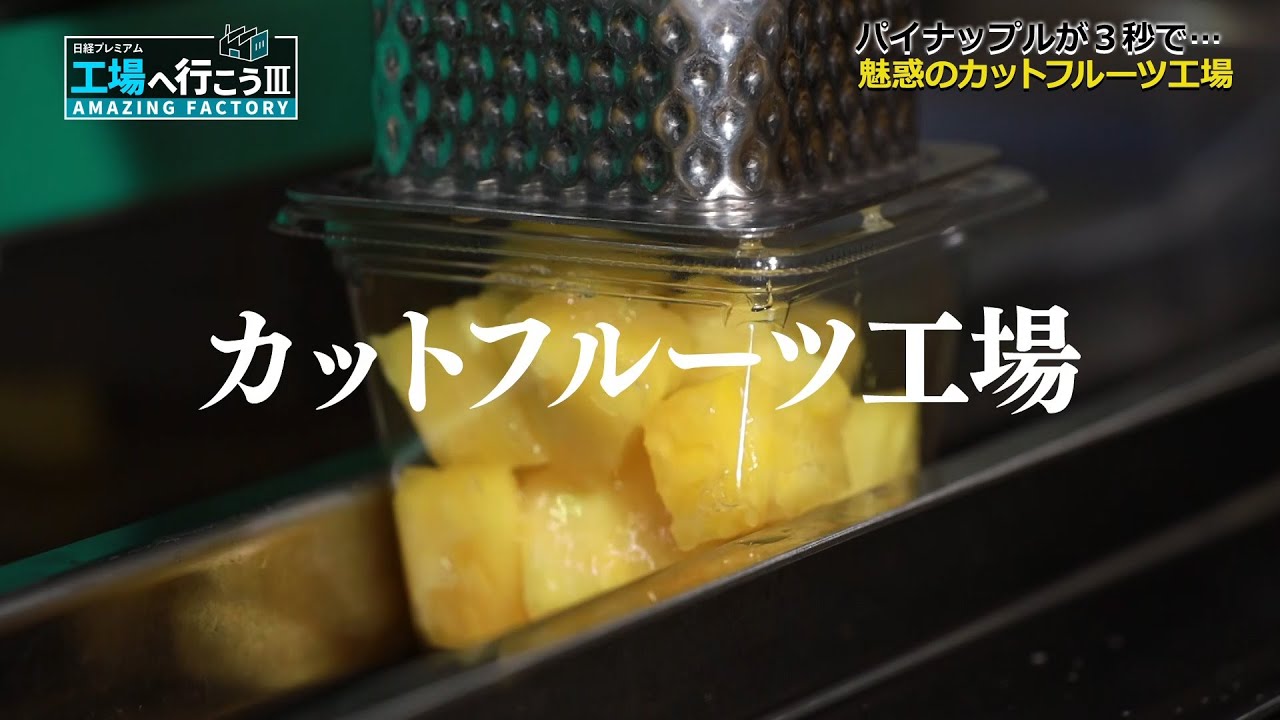 「食後の楽しみアップ！“フルーツ”盛りだくさん工場SP 」 【工場へ行こうⅢ】①