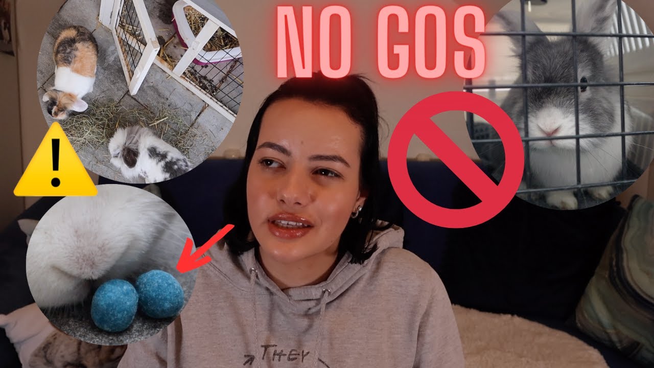 13 FEHLER, die deinen KANINCHEN SCHADEN ! 🚫🐰