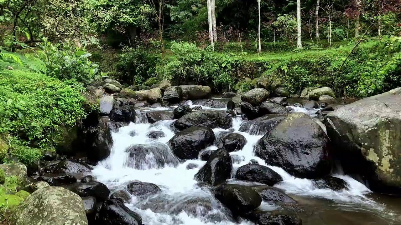 Ease mental load with calming river ambience in forest scenery lowering stress through sleep