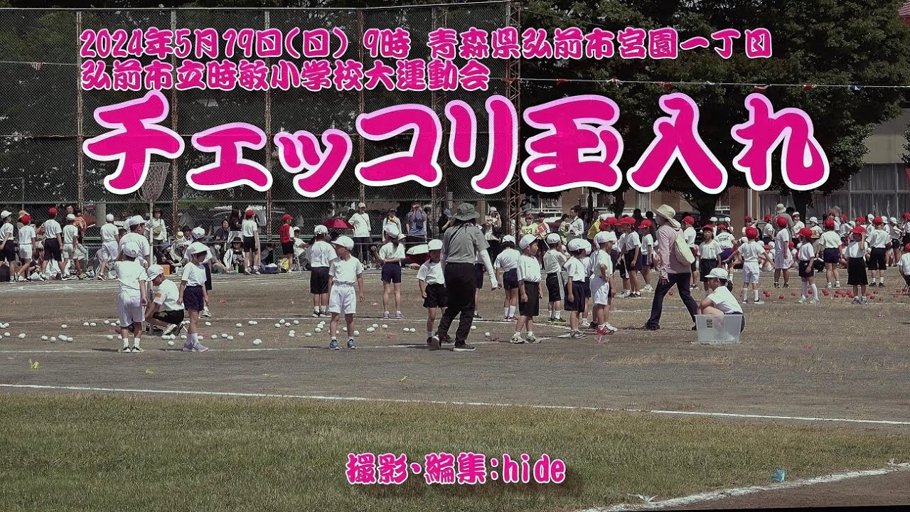 チェッコリ玉入れ