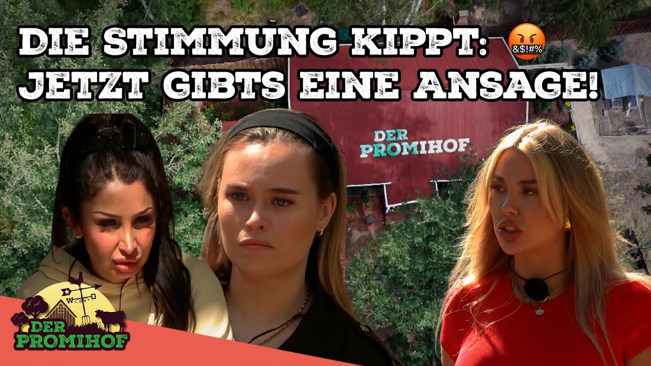 Überall gibt es Streit! Eskalation vorprogrammiert? 😩🧨 | Der Promihof #10