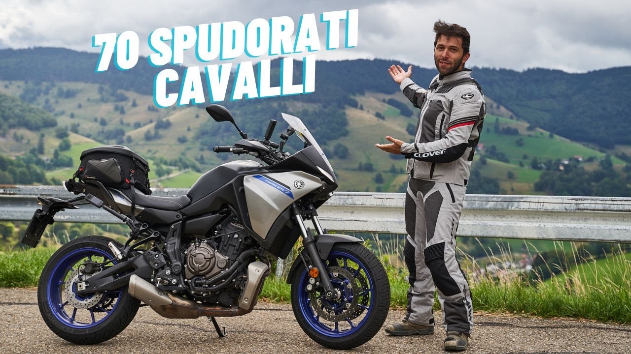 70 CAVALLI BASTANO in FORESTA NERA? 😥