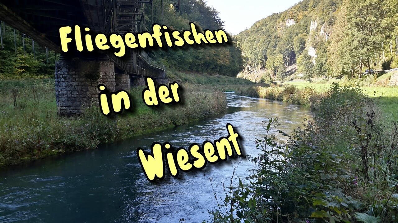 Fliegenfischen in der Wiesent, Fränkische Schweiz