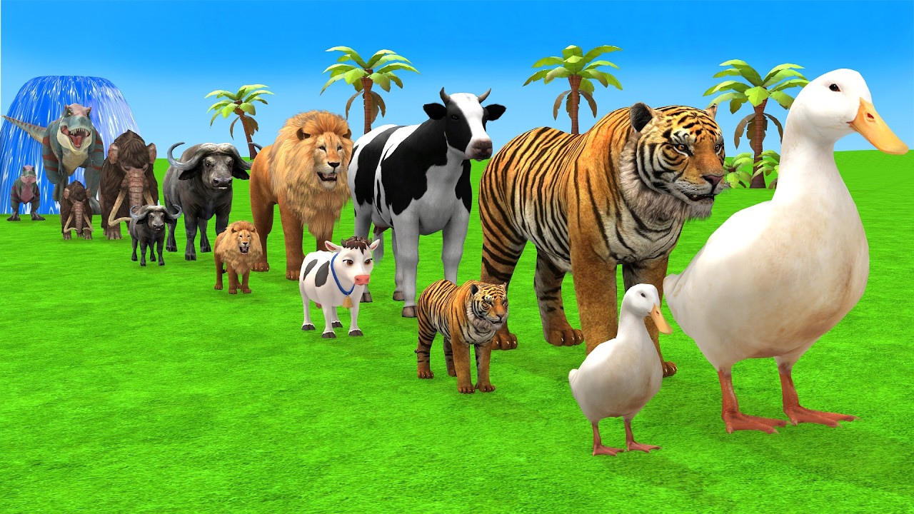Long Slide Game With Elephant Gorilla Buffalo Hippopotamus Tiger - 3d Animal Game - Funny 3d Animals