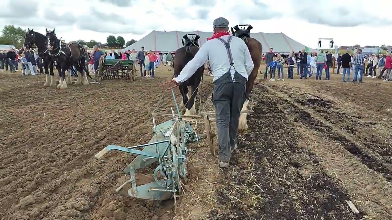 Eeuwige Paardenkracht: Sint-Juliaan in Langemark, 31/08/25   Deel 4