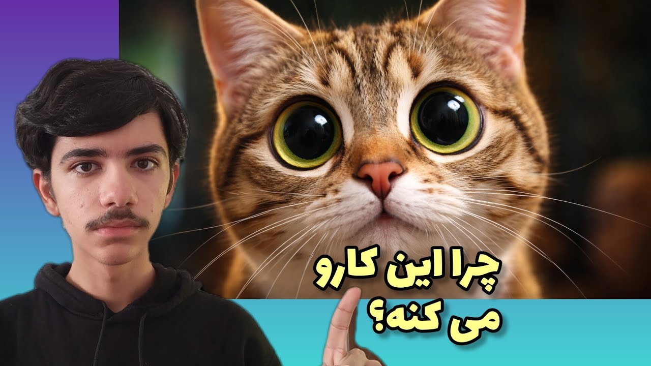راز هایی از رفتار گربه ها که هیچ کس بهت نگفته!🐈آیا این رفتار طبیعیه؟