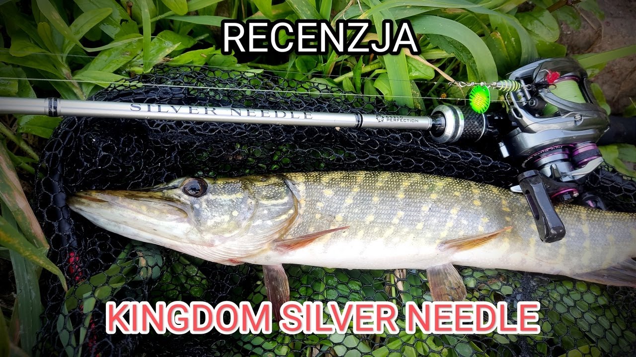 KINGDOM SILVER NEEDLE C652-L + KINGDOM MICRO MONSTER. Recenzja / Review. Czy to jeszcze BFS?