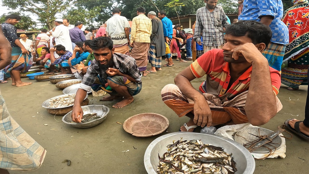 ভোর সকালে গ্রামের বাজারে দেশি মাছ দেখে মন ভরে যায়। Morning Village Market in Bangladesh