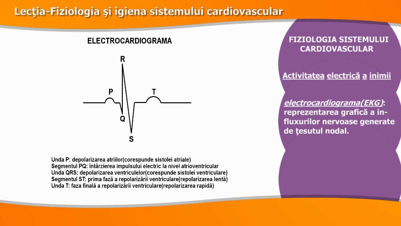 FIZIOLOGIA ȘI IGIENA SISTEMULUI CARDIOVASCULAR