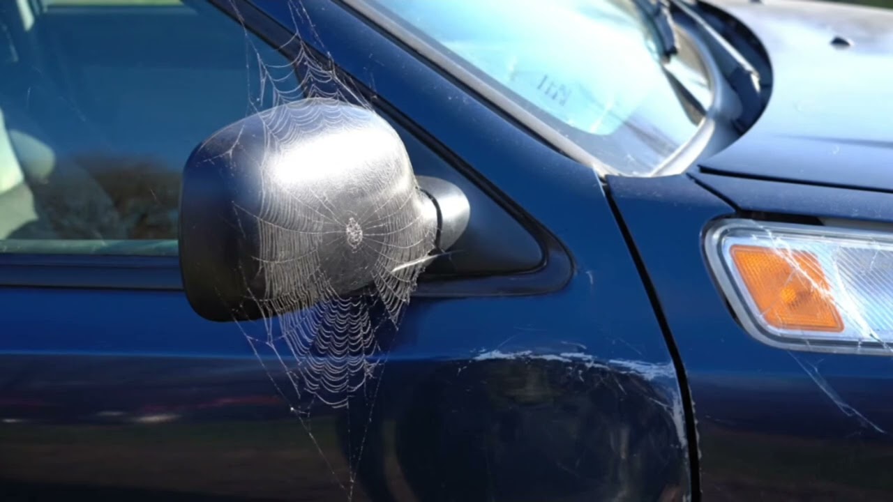 From Scrap to Super Clean – Old Car Full Transformation 🚗✨No One Believe 