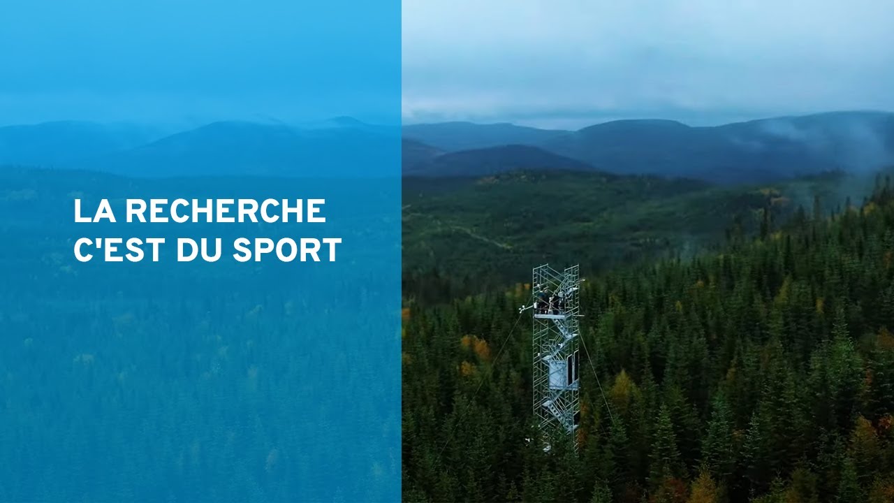 La recherche c'est du sport