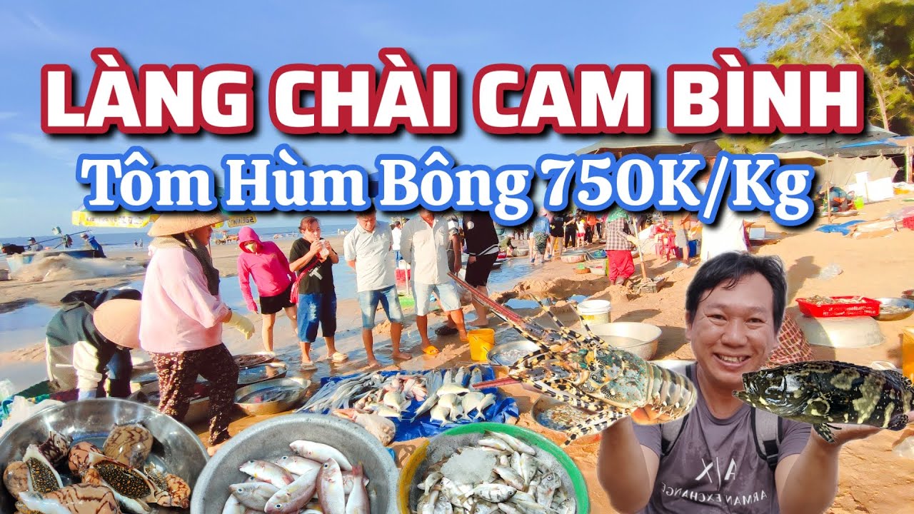 Làng Chài Cam Bình - Tôm Hùm Bông 750K/Kg.