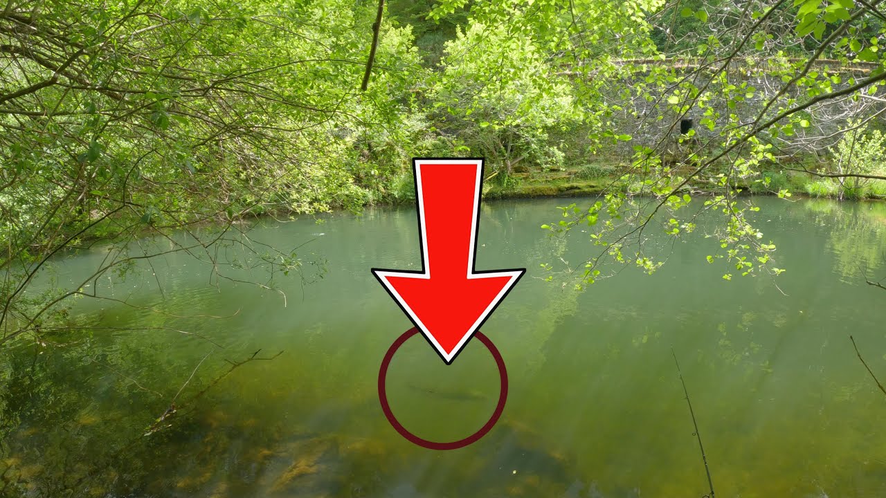 Pesca en río de montaña con isoperlas/ 4 subidas a la mosca de locos!!!🎣🔥🔥