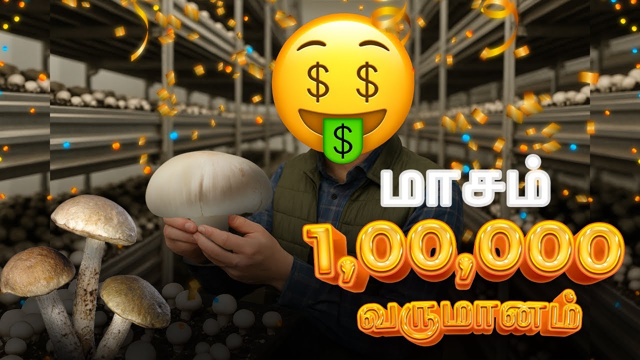 Mushroom business மாதம் 1,00,000 வரை வருமானம் | காளான் வளர்ப்பு தொழில் | startup business | Tamil |