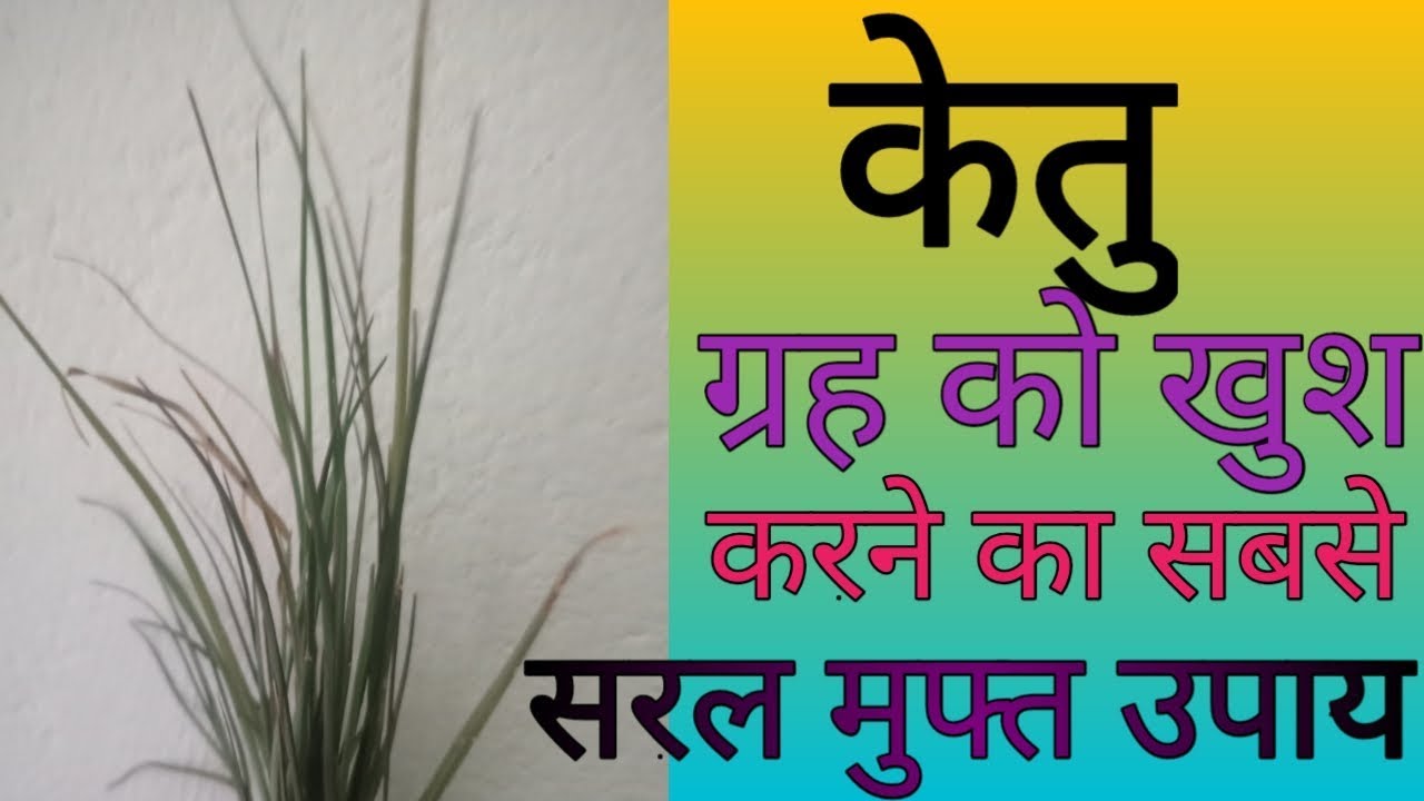 केतु ग्रह को प्रसन्न करने का सरल मुफ्त उपाय। अकस्मात धन प्रदायक है यह ग्रह।